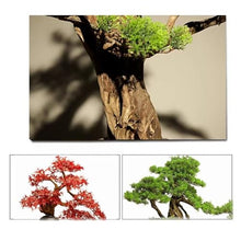 Artificial Bonsai Tree Simulation Welcoming Pine Artificial Bonsai Home Interior Pine Maple Leaf Tree Landscape Plant Decorations Office Decoration Bonsai (Color : B)