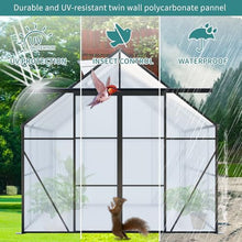 KEIKI 8x10 FT Double Door Polycarbonate Greenhouse with Aluminum Frame Black