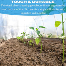Vapor Barrier Supply - Clear Greenhouse Plastic Sheeting - 6 mil - 4 Year UV Resistant Polyethylene Greenhouse Film, Hoop House Green House Cover for Gardening, Farming (28' x 100'), 4YR61