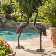 Exoraspaces Bird Garden Statue Set of 2 Outdoor Sculpture, Antique Bronze