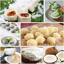 NUHSLF Coconut Grater Scraper Shredder,Electric Commercial Coconut Extracting Machine with Stainless Steel Drill Bit,Save Time