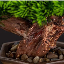 Fake Bonsai Tree Artificial Bonsai Simulation Pine Tree Bonsai Plant Decorations Entrance and Living Room Decoration Decorations Artificial Bonsai Tree (Color : B)
