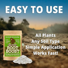 Big Foot Probiotic Root Boost Water Soluble Powder for Established Plants and Transplants - Grow Root Size, Increase Nitrogen, Grow New Plants from Cuttings, Pea Inoculant - 15 Pounds