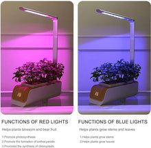 BTURYT Full System of Hydroponic Culture, Plants Lights, Water Level Indicator, Adjustable Height, Interior Cultivation Kit, Gardening, Hydroponic Succulents