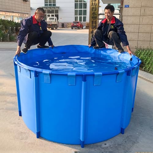 LZMZMQ Albercas para Niños Y Adultos Grandes/Round Above Ground Frame Pool 3ft 4ft 5ft 6ft 8ft 10ft 13ft Dia, Deep/Low Framed Swimming Pools for Kids Adults Summer Playing(1.8X1M/2560L/675GAL)
