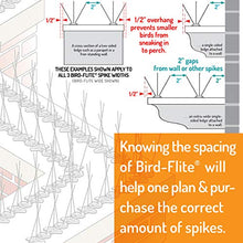 Bird Barrier Bird-Flite Pigeon Spikes for Outside, Wide 5 in, 100 Ft