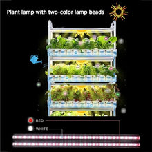 FLTRGO Hydroponic Growing System, 4 Layer Indoor Planting Kit, with Automated LED Grow Lights, 64 Seeding Sites, Water Pump, Vertical Hydroponic Tower Shelf