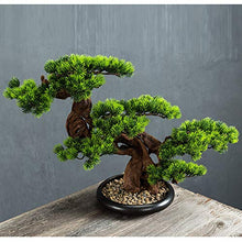zxb-shop Artificial Tree Simulation Welcome Guest Bonsai Green Plants Fake Plant Potted Plants Decorative Tree Resin Simulation Bonsai (Color : A)
