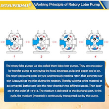 INTSUPERMAI Rotary Lobe Pump Stainless Steel Cam Rotor Pump 300-800L/H Flow for Food/Cosmetic/Chemical, 1M CP Viscosity & Non-Wear Design 220V Three-phase