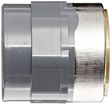 Spears Manufacturing CPVC Pipe Fitting Adapter Schedule 80 Gray 1-1/2" Socket x Brass NPT Female