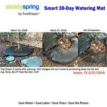 SteadySpring 24" Smart Tree Watering Mat Auto Refills Rain Slow Release Technology