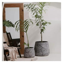 thalo Planter Pots Creative Cement Flowerpot Living Room Personalized Flowerpot Home Simple Indoor Large Diameter Thickened Flowerpot Plant Container Accessories (Size : Small)
