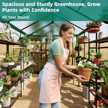 6x8 FT Greenhouse - Large Aluminum Greenhouses for Outdoors