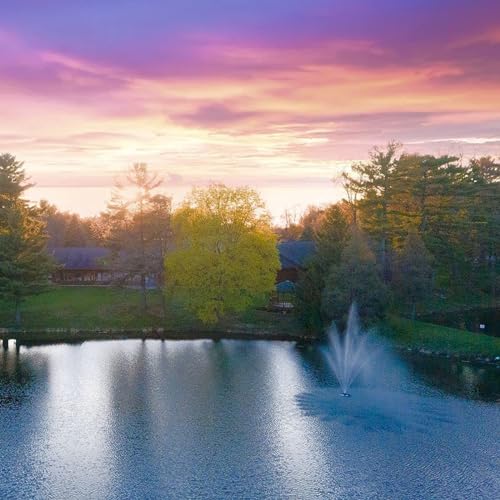 Scott Aerator Amherst 1 HP 230V Large Pond Fountain Maintenance-Free Stainless Steel with 200 Ft. Electric Cord