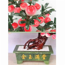 YXIANG56Q Fake Plants Artificial Bonsai Tree - Jade Bonsai Potted Plant for Home Office Tabletop Decor Bonsai Tree