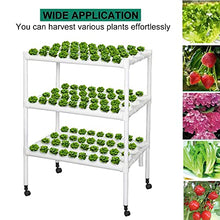 DXDRT Hydroponics Growing System Indoor Garden 108 Sites 12 PVC Pipes 3 Layer Hydroponic Gardening System Kit with Water Pump, Timer, Nest Basket and Sponge for Vegetables, Fruits, Herb, Flowers,US