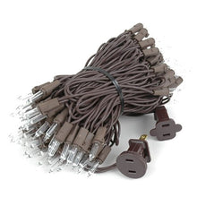 Novelty Lights 12-Pack 34 Feet 100 Clear Mini Christmas Lights, Brown Wire String, Traditional Vintage Brown Christmas Light, 4 Inch Spacing, Indoor/Outdoor UL Listed