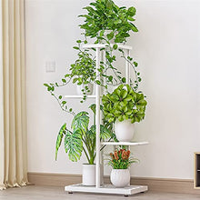 iumLeap Flower Stand 4 Tier Plant Stand Multiple Flower Pot Holder Shelves Planter Rack Storage Organizer Display, Gris-43x22x82cm