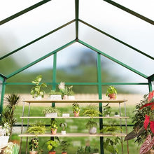 GarveeHome 6X10 FT Greenhouse for Outdoors, Large Walk-in Polycarbonate Greenhouse Kit, Aluminum Frame, Lockable Door, Roof Vent, Ground Spikes, for Garden, Patio, Backyard, Outdoor Plant Growth