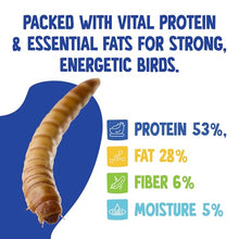 Chubby North American Grown Dried Mealworms, 20 lbs