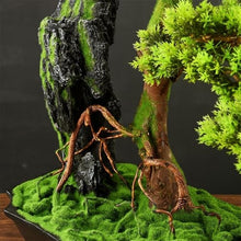 YXIANG56Q Fake Plants Artificial Bonsai Tree with Ceramic Pot Fake Plant Ornaments for Living Room Entrance TV Cabinet Bonsai Tree