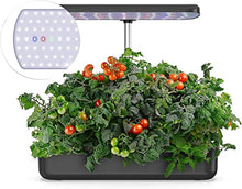 Hydroponics Growing System, Indoor Herb Smart Garden Starter Kit with LED Grow Light, for Home Kitchen Gardening Height Adjustable (10 Pots)