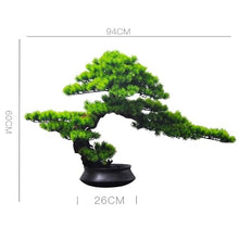 QWERAXZG Bonsai Hotel Living Room Office Porch Home Zen Decorative Pieces