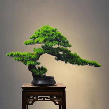 QWERAXZG Bonsai Hotel Living Room Office Porch Home Zen Decorative Pieces