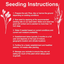 Country Basics Fire Brake Grass Seed Mix – Drought Tolerant Native Western Blend for Fire-Resistant Landscaping & Defensible Space – Cool Season Low-Growing Habitat Seed 25 LB