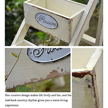 RWGOVLU Flower Stand Natural Material Multi-Layer Mini Desktop Ladder Small Flower Shelf Storage Rack Creative Decorative Ornaments Plant Stand
