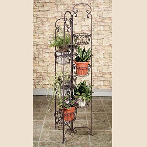 Olivia Wong's Zaria Plant Stand Tuscan Slate
