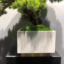 ntumLeap Faux Plants Simulation Welcome Pine Bonsai New Chinese Podocarpus Green Plants Landscaping Living Room Home Porch Decoration Decoration Gifts Artificial Potted Plants
