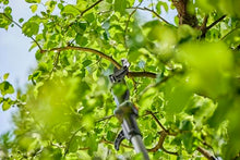 Gardena Cordless Telescopic Tree Pruner HighCut 250/18V P4A no Battery: Lopper with Telescopic Handle for Branches up to 4 m high, Rotating Cutting Head, Ergonomic Handle, LED Display (14774-55)