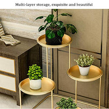 Multifunctional Flower Rack Metal Iron Plant Stand Garden Display Shelf Living Room Decoration Golden Storage Organizer