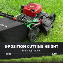 AMERISUN Gas Lawn Mower, 170cc OHV Engine with Forced Air Cooling, 21" Steel Deck, 3-in-1 Mulching/Bagging/Side Discharge, 6 Cutting Heights, 1.4-Bushel Grass Catcher, Self-Propelled