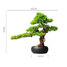 QWERAXZG Decoration Porch Chinese Home Hotel Model Room Simulation Welcome Pine Bonsai