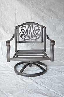 theWorldofpatio Elizabeth Cast Aluminum Swivel Rocker Club Chairs Antique Bronze
