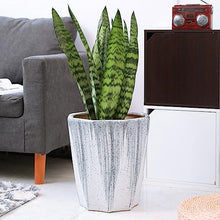 iumLeap Outdoor Indoor Garden Plant Pots Large-Size Floor-to-Ceiling Green Plant Flowerpot Ceramic European-Style Balcony Simple Flowerpot Plant Container Accessories