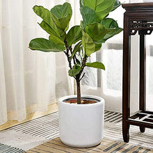 FAFACAI Home Round Shape Ceramic Flower Pot Modern Living Room Courtyard Large Plant Pot Green Plants Floor-to-Ceiling Household Planter Office Decorative Ornaments (Green 33cm)