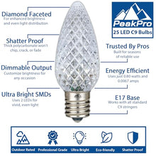 Novelty Lights 250CT C9 LED Faceted Ultra Bright Dimmable Outdoor Christmas Light Replacement Bulbs Decorative LED Christmas Lights, Pure White