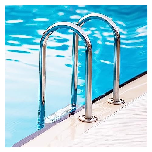 Swimming Pool Ladder, Thickened Stainless Steel 2/3 Step Pool Ladder, Non-Slip Pool Pedals Entry and Exit System, 3 Thickness (Silver b)