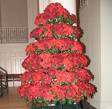 Creative Displays Full Round Poinsettia Tree Rack Display 106FB - Freestanding Vertical Garden Frame | Great for Poinsettias, Flowers, Potted Plants, Succulents, and More (6.5 Ft)