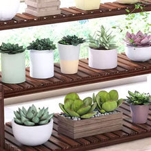 MIIKHI Desktop Plant Stand Wood Window Sill Plant Shelf Small Plant Rack Tiered Flower Rack Indoor Bookshelf Patio Garden Balcony Planter Holder Shoe Racks Shelf Office Plant Shelves with