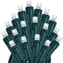 Novelty Lights 12-Pack, 50 Feet 100 LED Pure White Christmas Mini Light String on Green Wire, 5mm Wide Angle Bulbs, Connectable, Indoor/Outdoor Decor, UL Listed