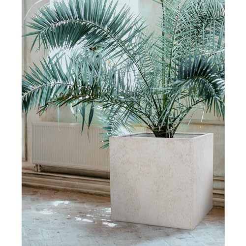 Ren-Wil VASX173 Planter