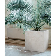 Ren-Wil VASX173 Planter