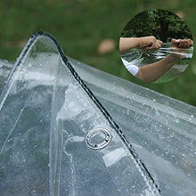 BAILR Garden Rainproof Clear Poly Tarp 10x16ft, Transparent Waterproof Tarpaulin, Plant Cover Insulation Shed Cloth for Covering Garden Plant Camping (A 3×5m)