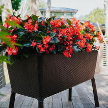 Polymer Outdoor Products Raised Garden Bed, 19.5" L x 44.5" W x 29.75" H Bundled with 3 Pack Miracle-Gro Potting Mix for Plants, Flowers, and Vegetables