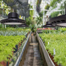 Plant Light High Power Lighting Growing Lamps Highlight Waterproof IP66 100W Grow Lights Suitable for Hydroponic Greenhouse Garden