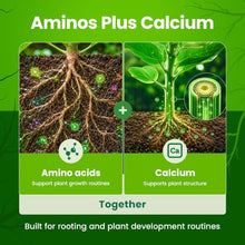 GreenGro Green Aminos Rooting Stimulator Blend